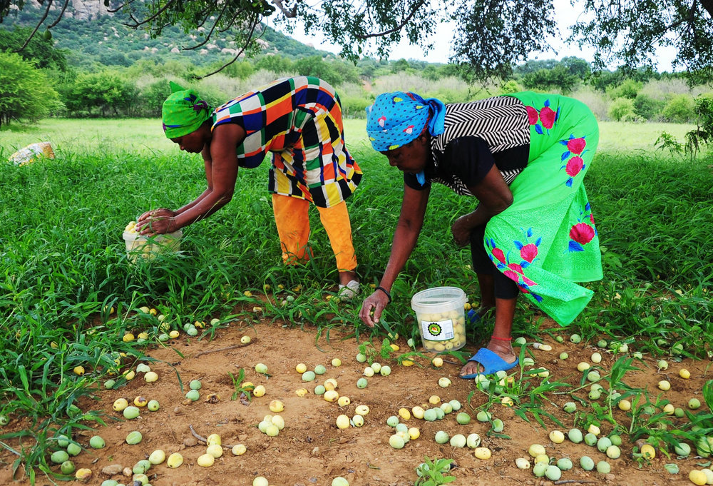 MISS AFRICA MARULA (5)