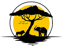 Miss Africa New Logo